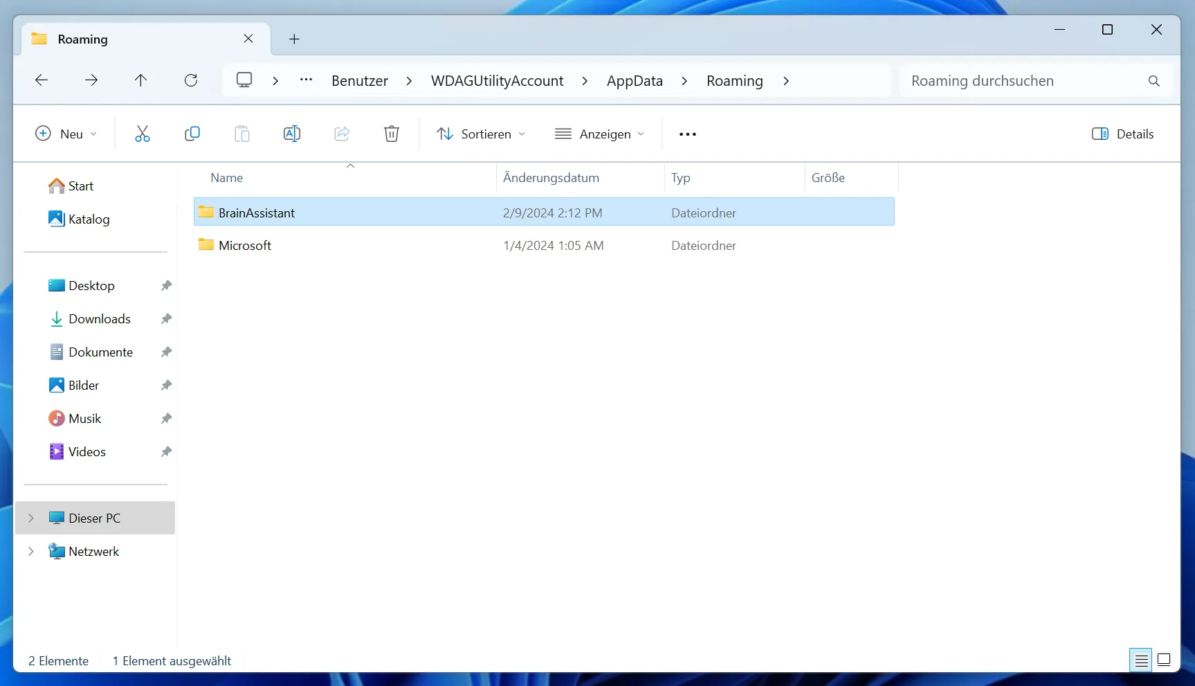 BrainAssistant folder in AppData