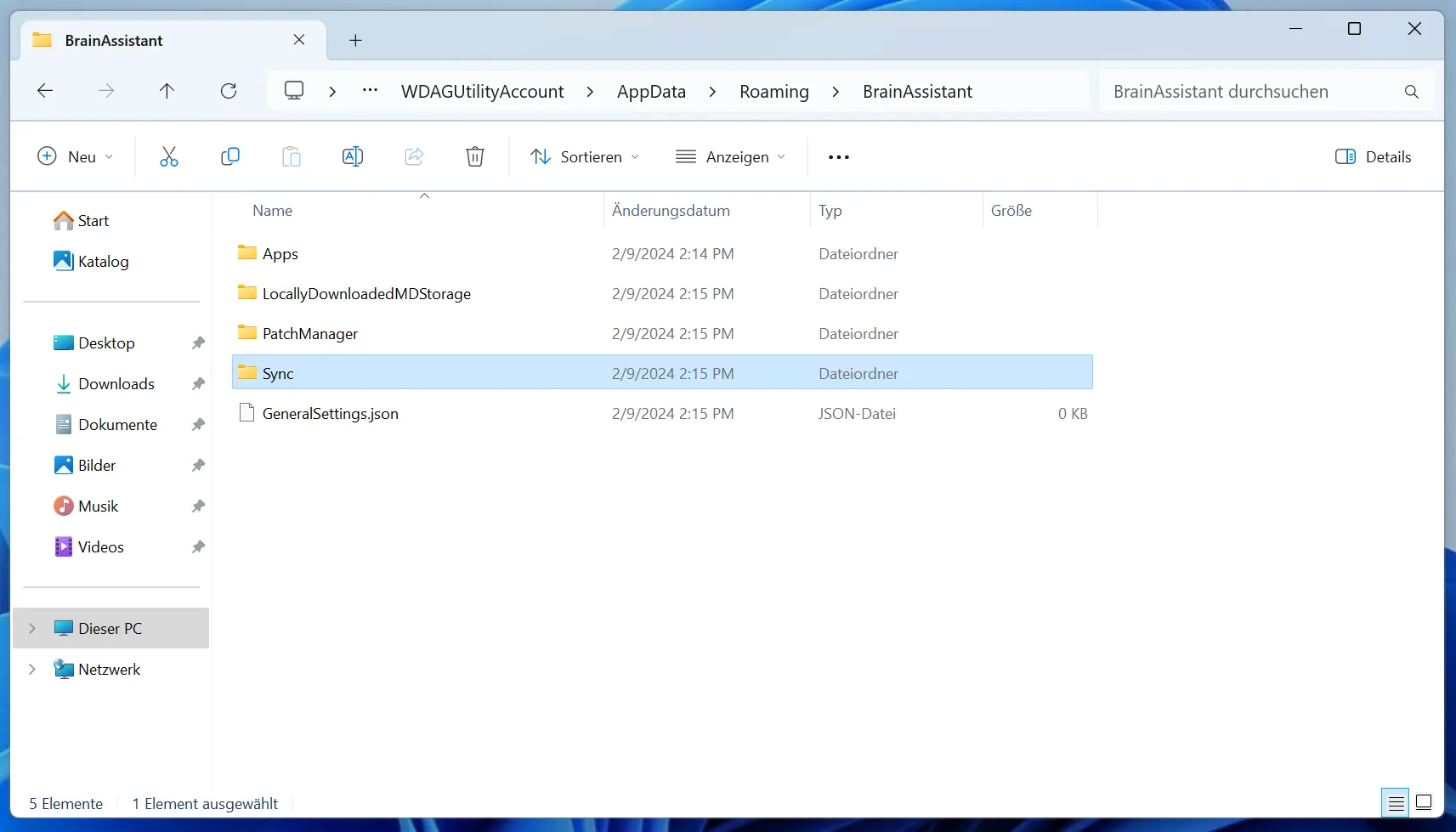 Sync folder inside the BrainAssistant folder