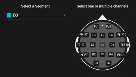 Segment and position selection for the FFT